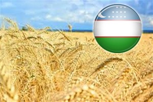 Украина и Узбекистан активизируют сотрудничество в АПК