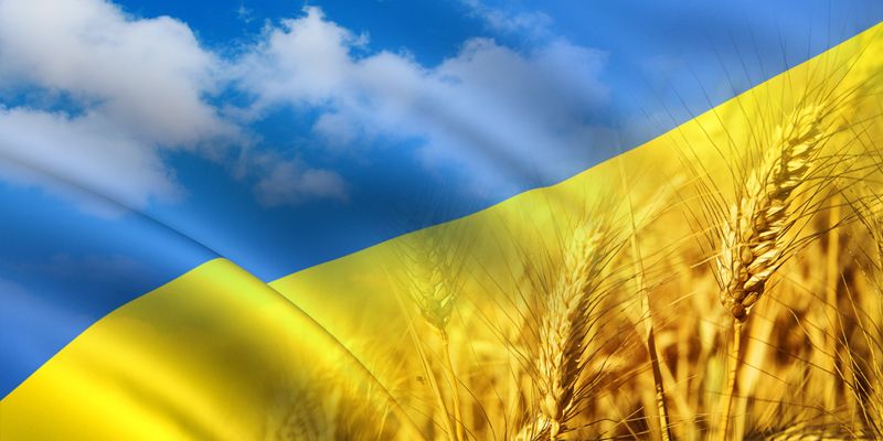 Украина обеспечит потребности внутреннего рынка во ржи