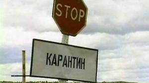 В Одесской области введен карантин 