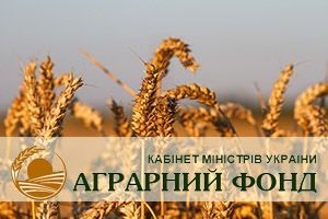 Украина: ПАО «Аграрный фонд» завершило осеннюю форвардную программу