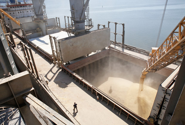 Из морпортов Украины на минувшей неделе было экспортировано 323,3 тыс. тонн зерна