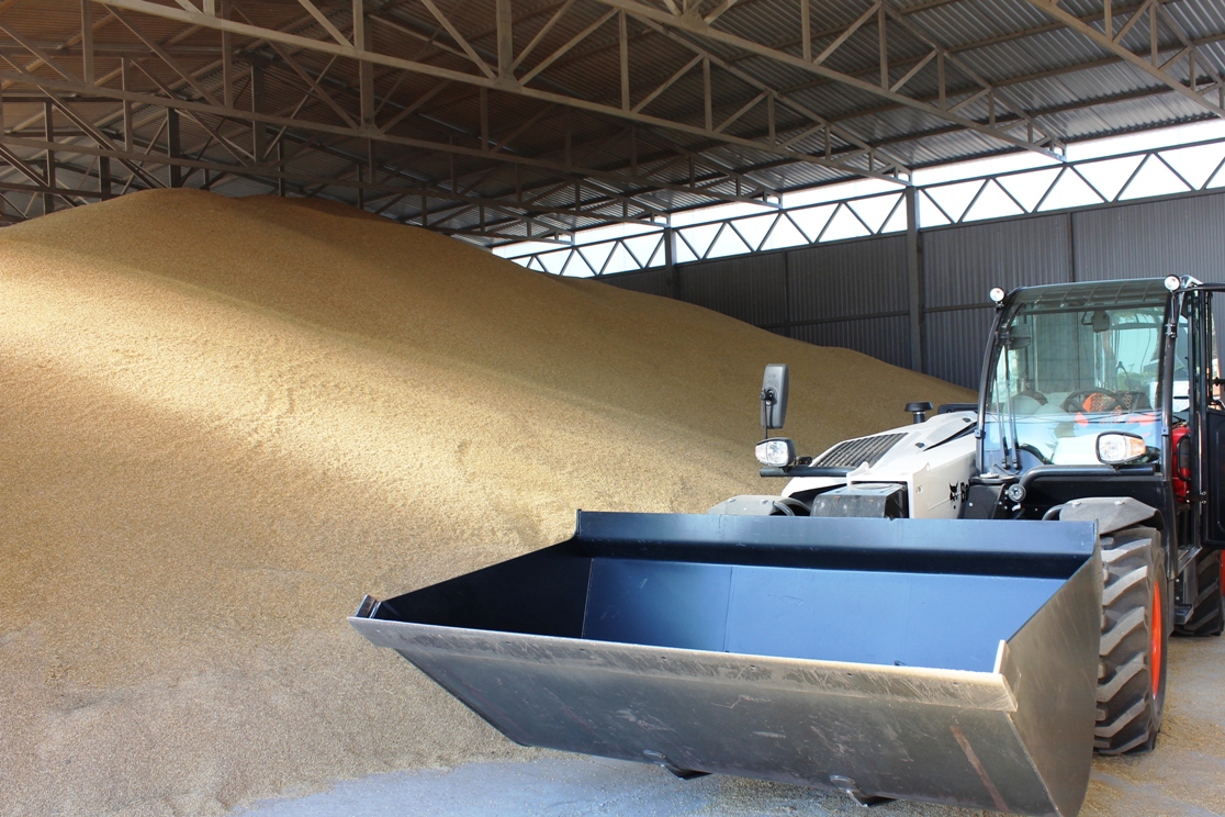 В январе РЖД сократило погрузку зерна на 16%