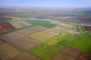 Украина готова к открытию рынка земли — Мартынюк