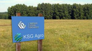 Агрохолинг "KSG Agro" на грани банкротства 