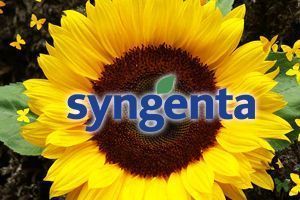 ChemChina хочет приобрести Syngenta за $43 млрд