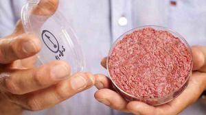 Через пять лет может появится искусственное мясо