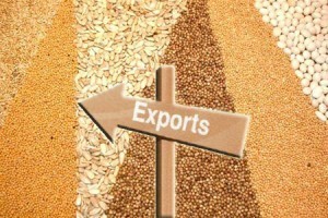Экспорт зерна из Украины вырос на треть