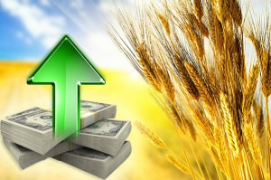 Себестоимость нового урожая вырастет на 20-25% за счет импортных составляющих — Клименко