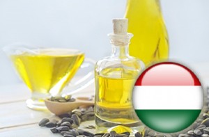 Украина готова наращивать поставки в Венгрию подсолнечного масла и зерна — Швайка