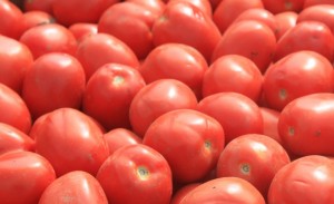 Украина не будет экспортировать помидоры в Россию