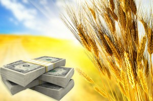 Кредитные союзы продолжают предоставлять займы аграриям