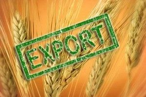 Из Украины экспортировано первые 0,5 млн т зерна