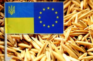 Украина и ЕС проведут две совместные конференции по продовольствию — Козаченко