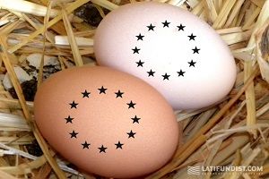Птицеводы нарастили экспорт яиц в 1,6 раза