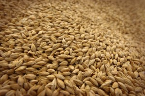 Тайвань закупил пшеницу