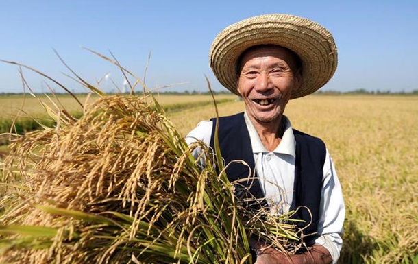 В 2015 году 119 украинских предприятий получили разрешение на поставки зерна в Китай