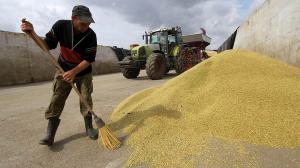 Украина экспортирувала 24 млн тонн зерновых