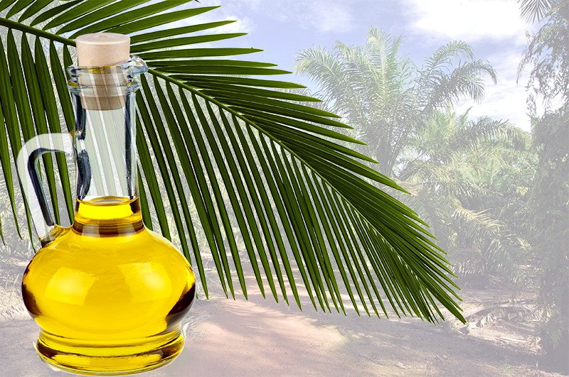 В Малайзии цена на пальмовое масло достигла 20-месячного максимума